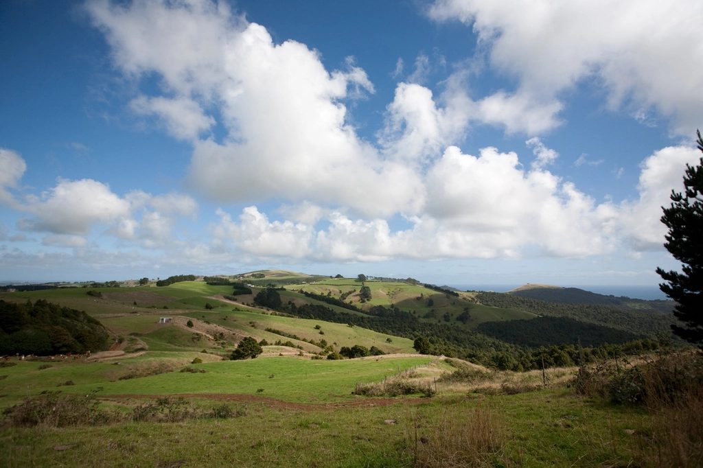 Coastal farmland