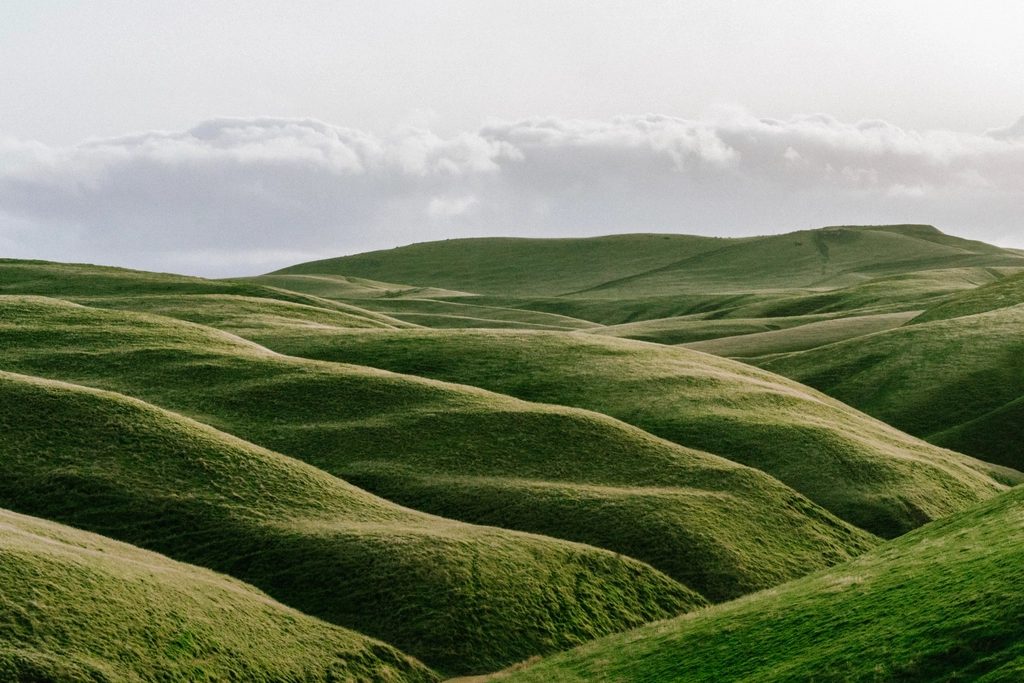 Rolling green hills